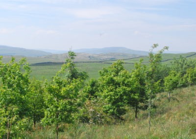 View around Grassington Bunk Barn